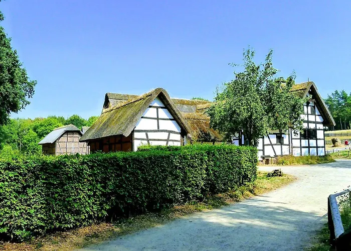 Solveigs