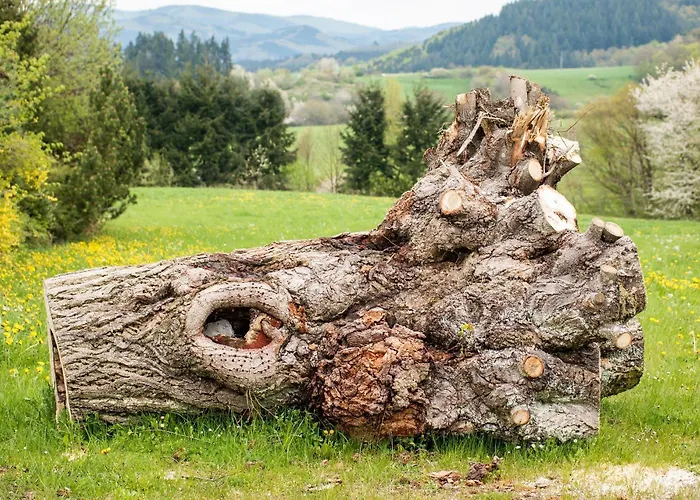 Solveigs Appartement *